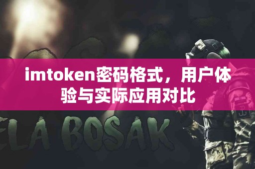 imtoken密码格式，用户体验与实际应用对比